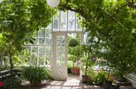 free Ringtail Green orangery quotes
