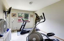 Ringtail Green home gym construction leads