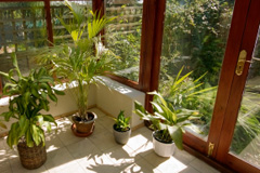 Ringtail Green orangery costs